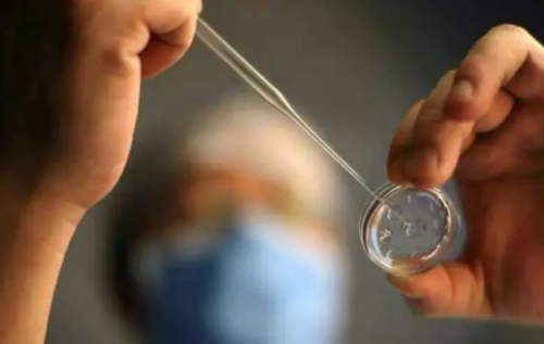 2026广西借卵代怀试管机构排名？附详细介绍？,代孕哪里最专业