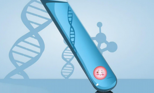 2026年长沙湘雅医院可以做借卵试管婴儿吗？要排队吗？,供卵代怀机构有吗